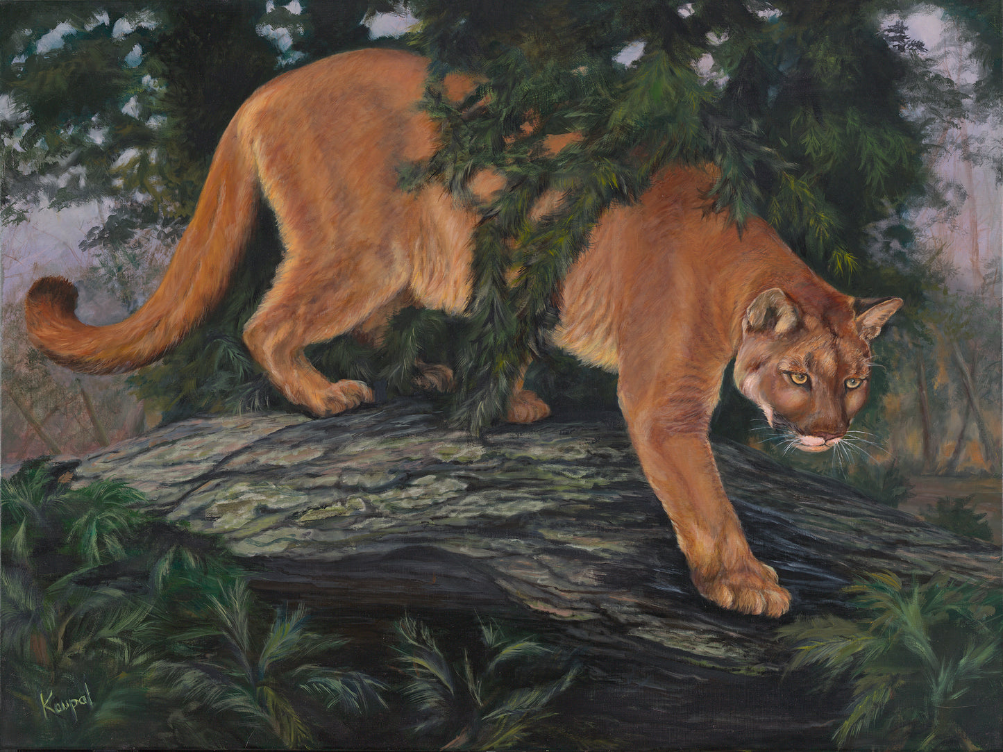 Intrigued- 36X48 Limited-Edition Linen Print