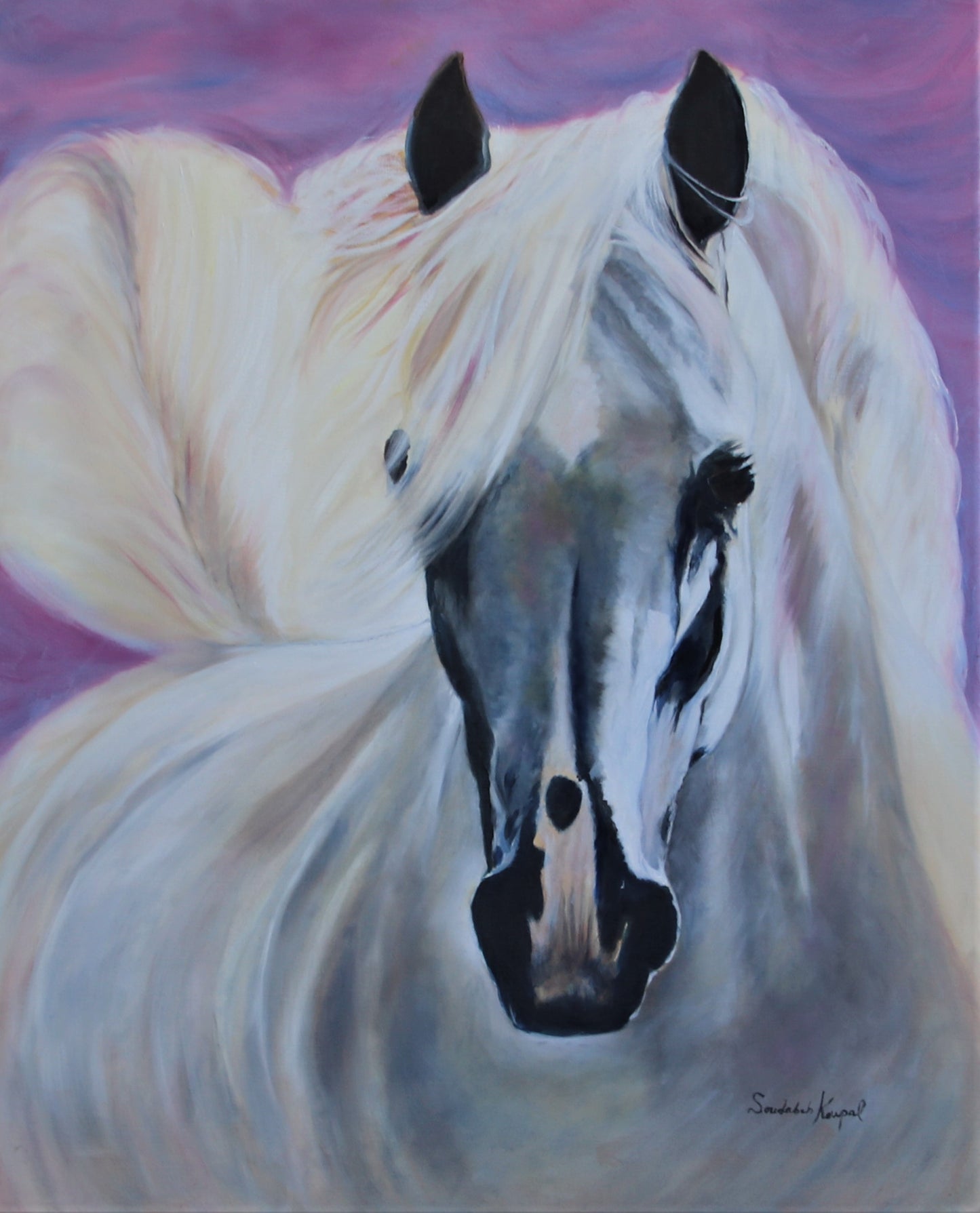 White Horse- 24X30 Limited-Edition Canvas Print