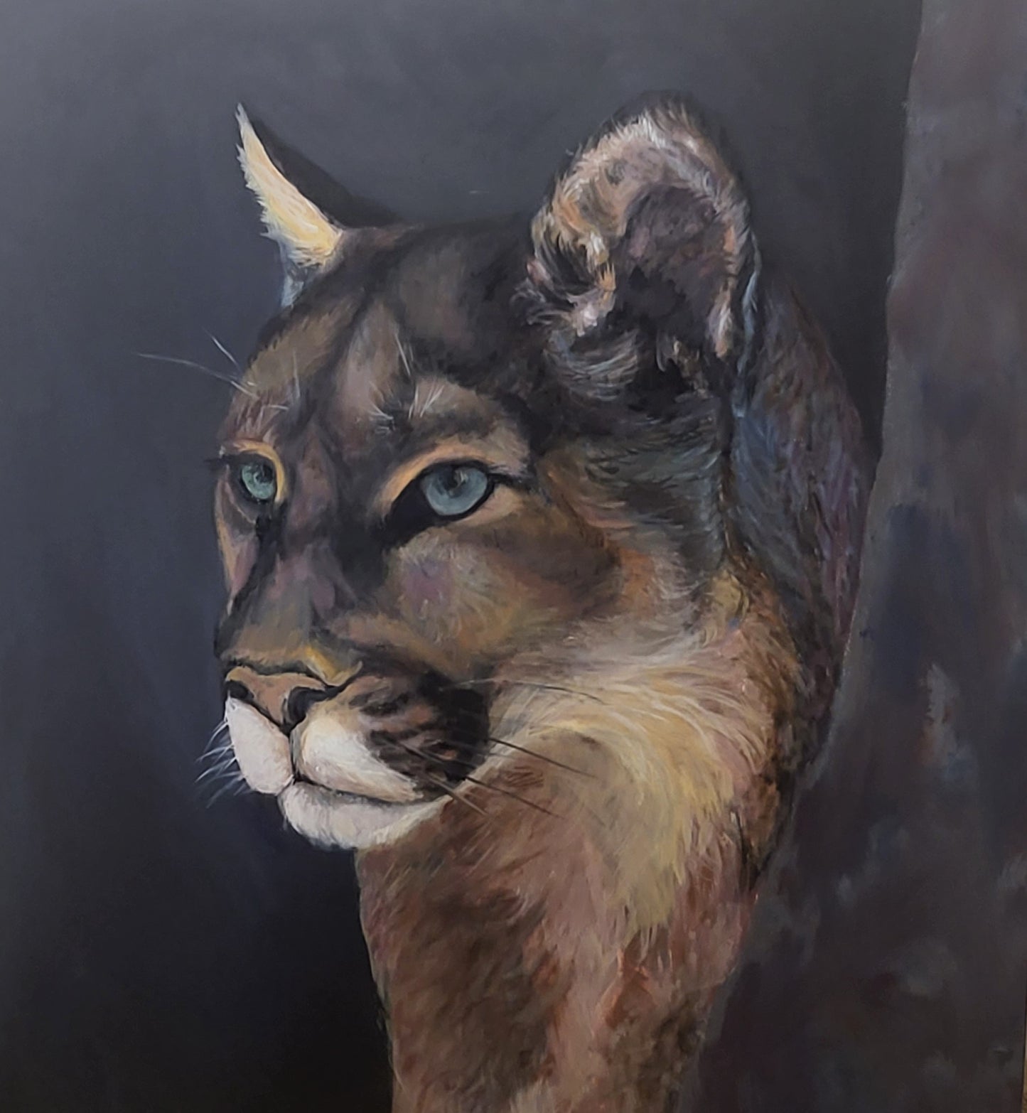 Cougar Portrait- Limited Edition Print 16X20 in